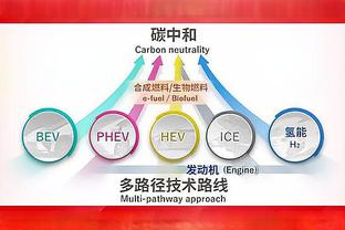 莱夫利：东契奇很有竞争力&他总想赢 总是试图打出正确的比赛